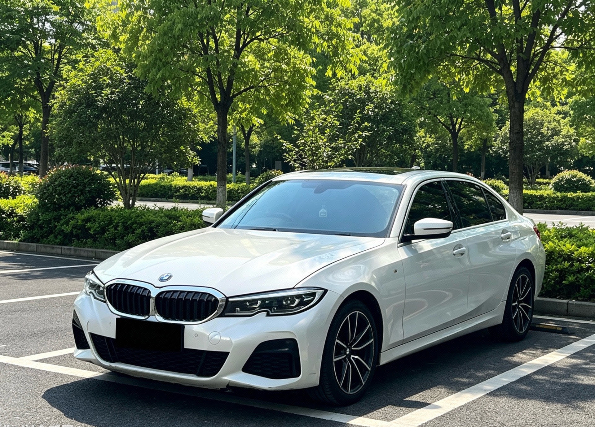 BMW 3 Series 2022 BMW 3 Series 2022 car image