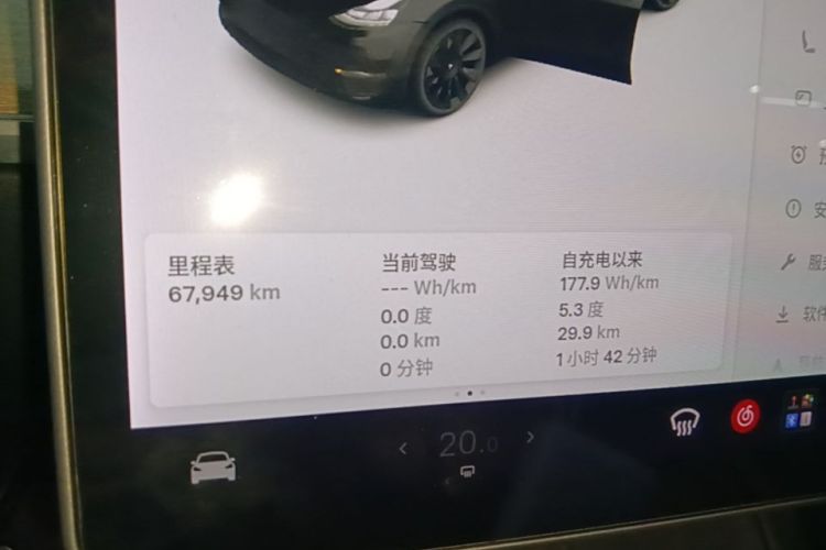 Tesla Model Y 2021 car image #12