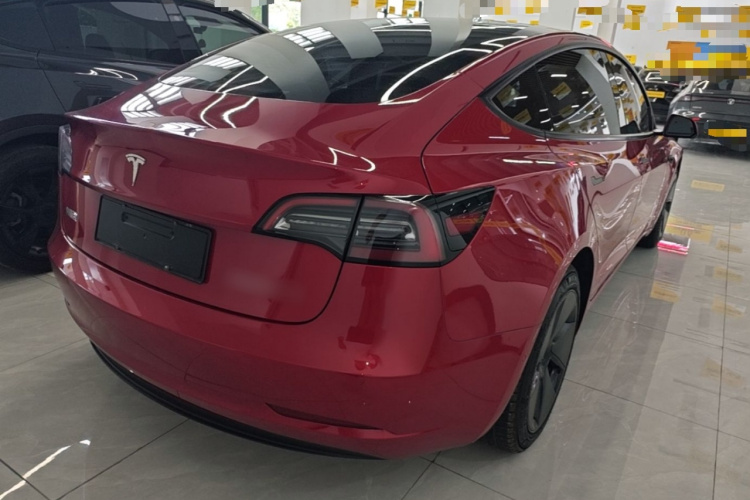Tesla Model 3 2021 #5 Tesla Model 3 2021 car image #5