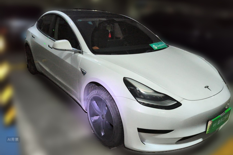 Tesla Model 3 2020 car image #4