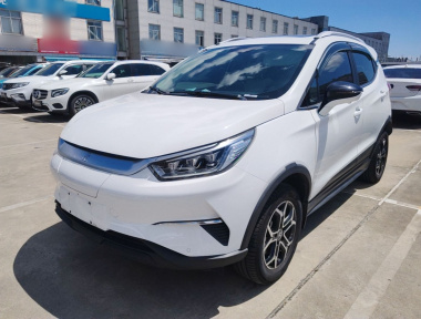 BYD Yuan Pro 2022 car image 