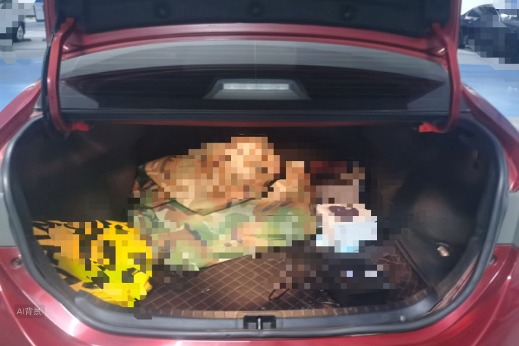 Toyota Corolla 2017 car image #21