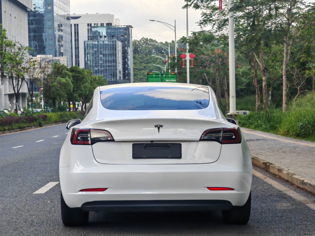 Tesla Model 3 2020 #10 Tesla Model 3 2020 car image #10