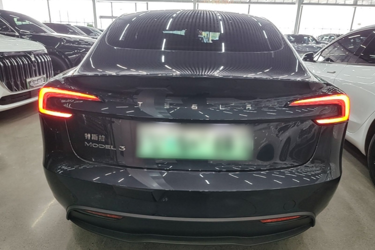 Tesla Model 3 2024 #6 Tesla Model 3 2024 car image #6