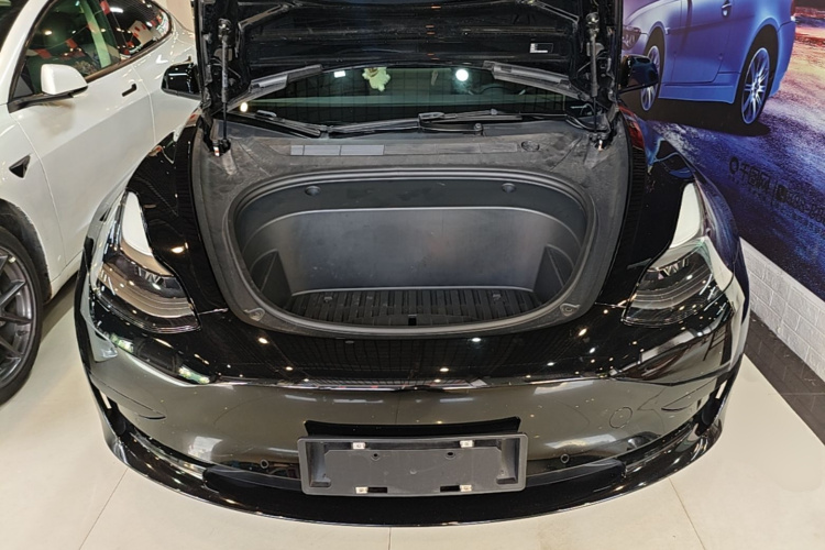 Tesla Model 3 2021 imagem de carro #28