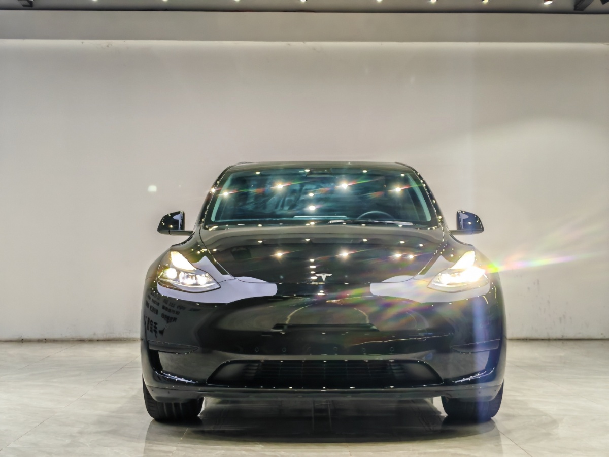 Tesla Model Y 2022 #2 Tesla Model Y 2022 car image #2