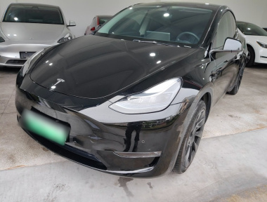 Tesla Model Y 2023 car image 