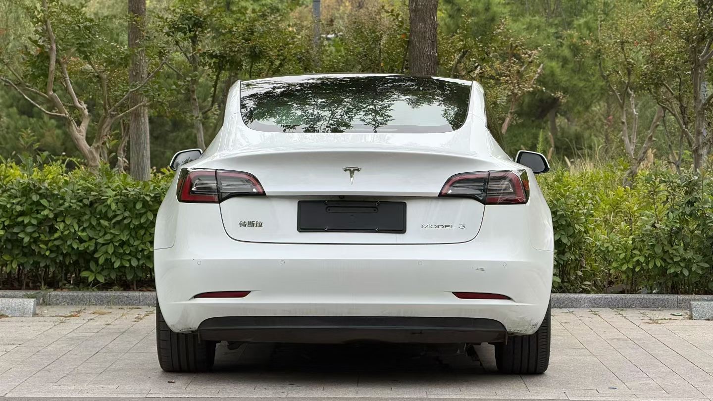 Tesla Model 3 2021 #8 Tesla Model 3 2021 car image #8
