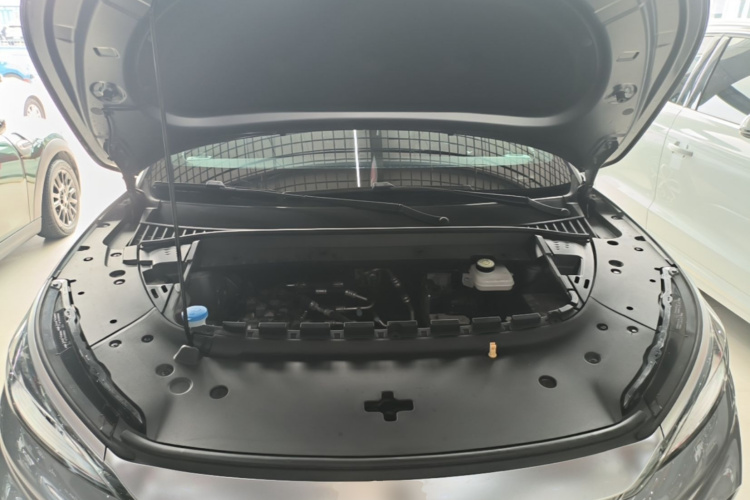 BYD Yuan Plus 2024 car image #22