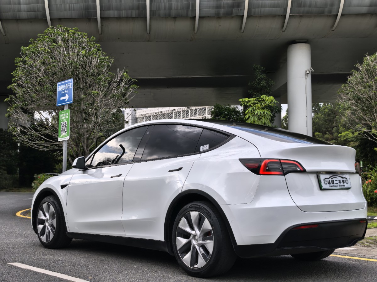 Tesla Model Y 2021 car image #9