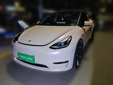 Tesla Model Y 2023 Tesla Model Y 2023 car image