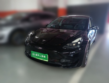 Tesla Model 3 2021 Tesla Model 3 2021 car image