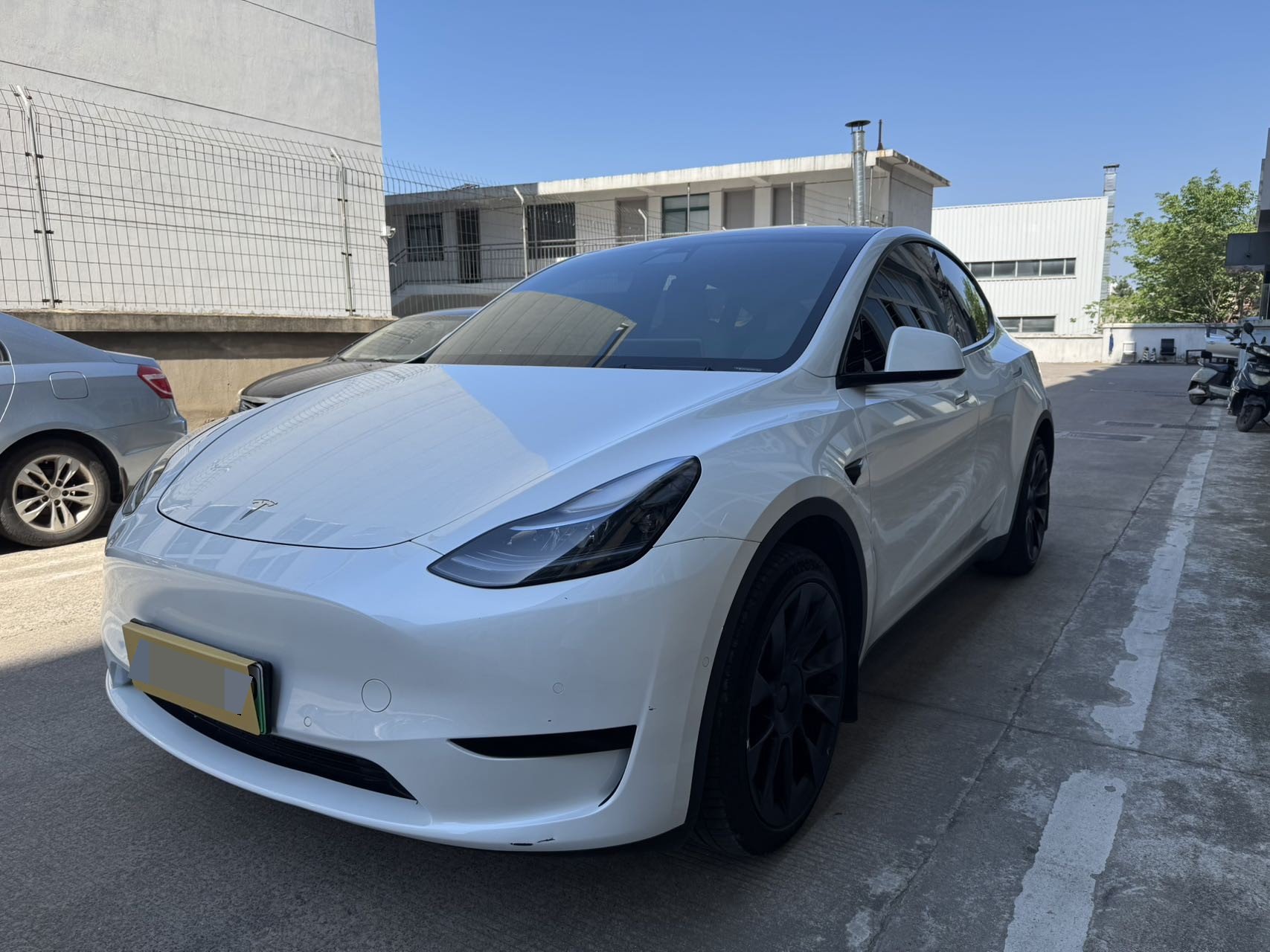 Tesla Model Y 2023 car image 