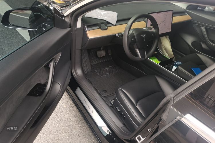 Tesla Model 3 2020 car image #18