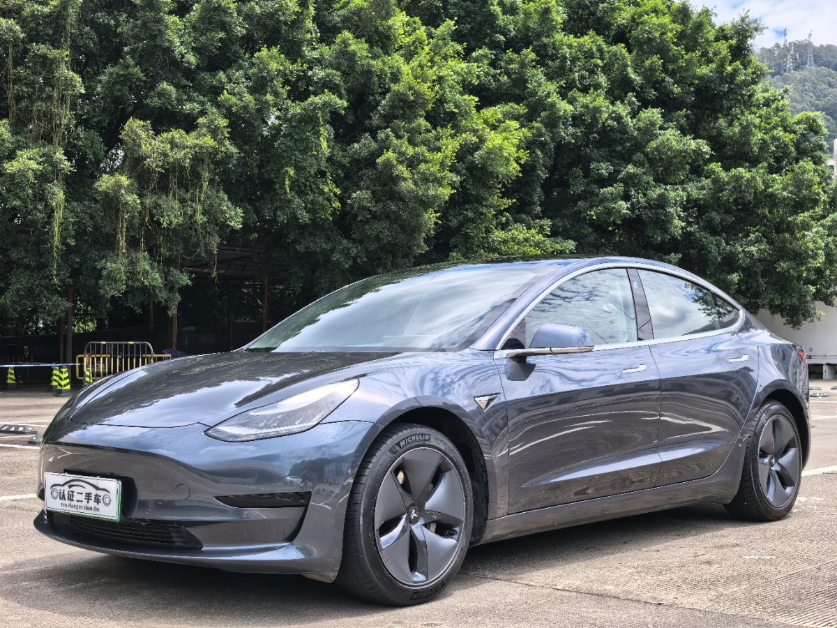 Tesla Model 3 2020 Tesla Model 3 2020 immagine di auto