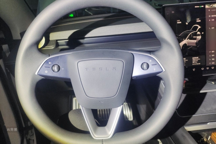Tesla Model Y 2025 car image #12