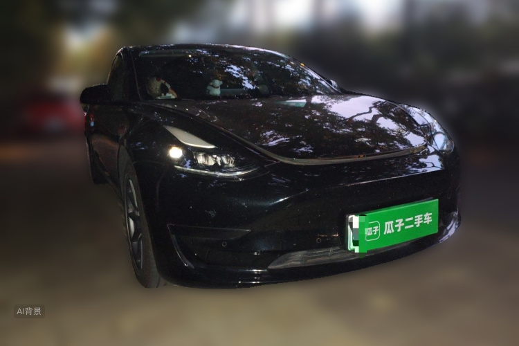 Tesla Model 3 2023 #4 Tesla Model 3 2023 صورة سيارة #4
