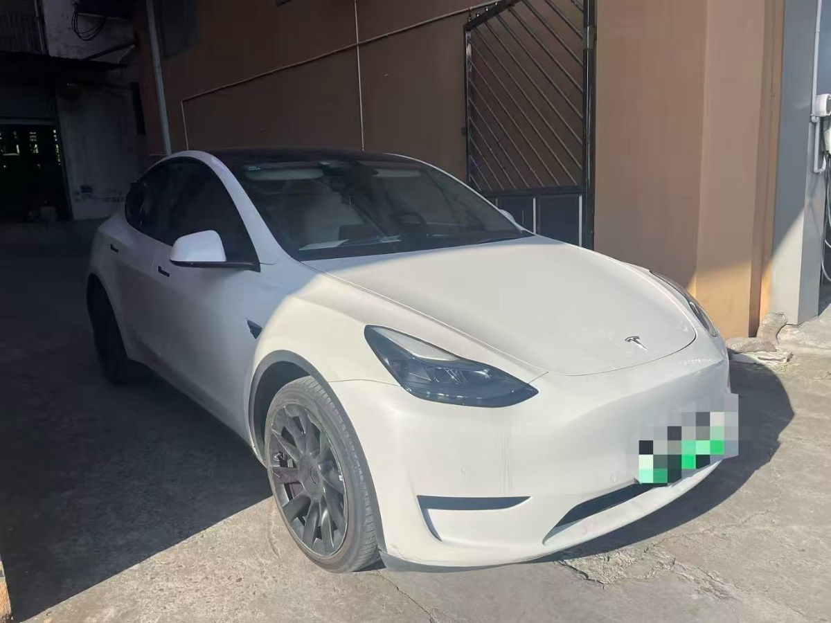 Tesla Model Y 2022 Tesla Model Y 2022 car image