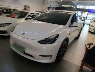 Tesla Model Y 2021 Tesla Model Y 2021 car image