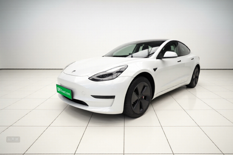 Tesla Model 3 2022 #2 Tesla Model 3 2022 car image #2
