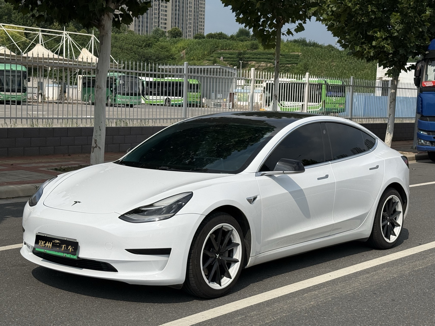 Tesla Model 3 2020 Tesla Model 3 2020 car image