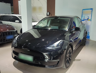 Tesla Model Y 2021 car image 