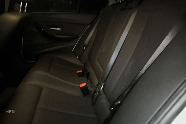 BMW 3 Series 2016 car image #19