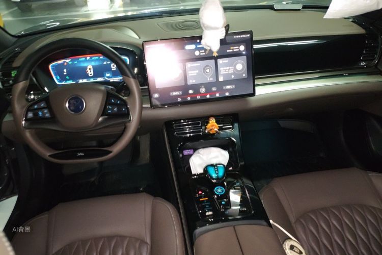 BYD Han 2023 صورة سيارة #11
