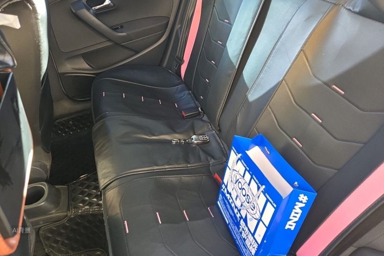 Volkswagen Polo 2017 car image #19