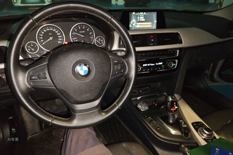 BMW 3 Series 2016 car image #11