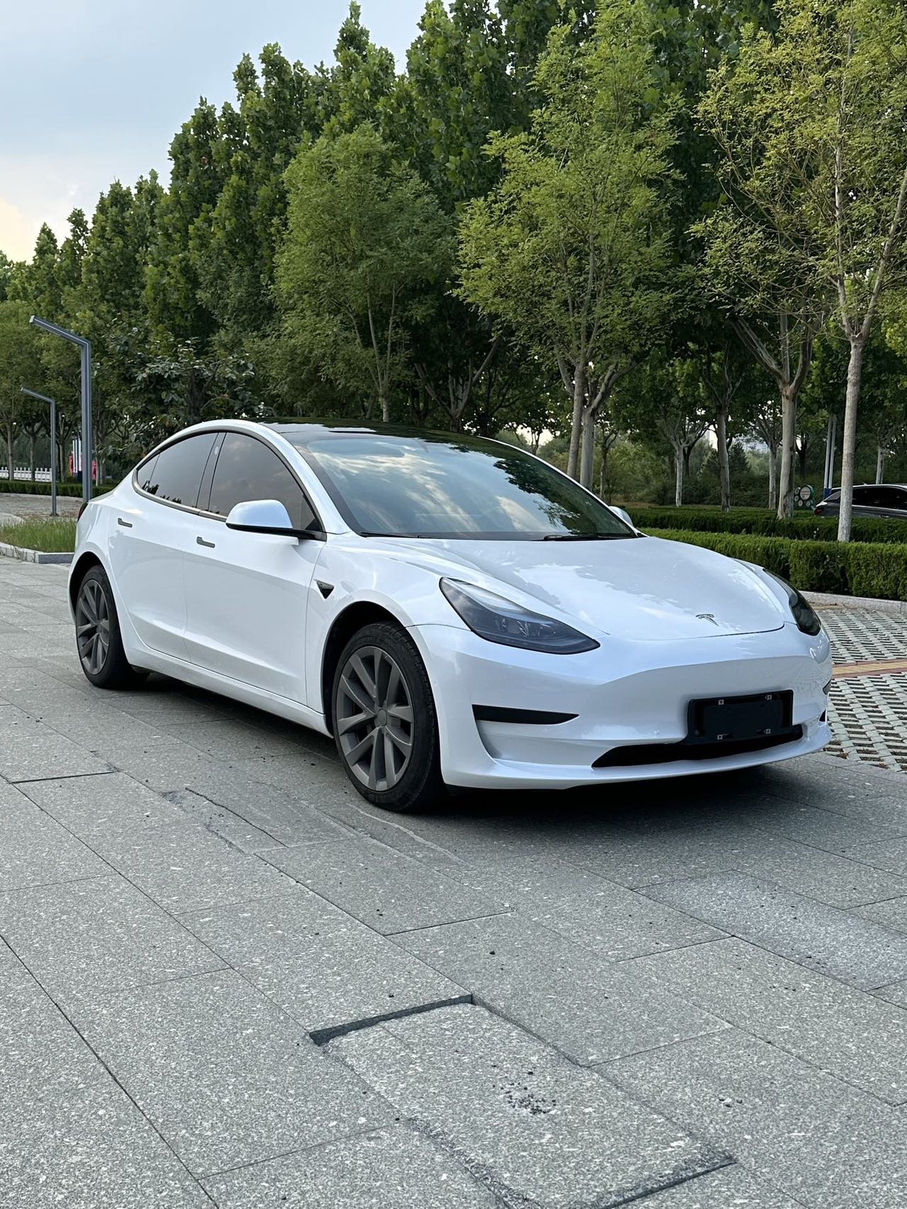 Tesla Model 3 2021 car image #3
