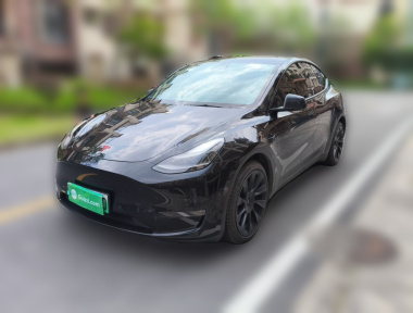 Tesla Model Y 2021 car image 
