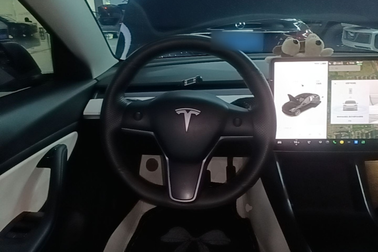 Tesla Model 3 2020 #15 Tesla Model 3 2020 car image #15