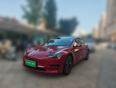 Tesla Model 3 2022 car image 