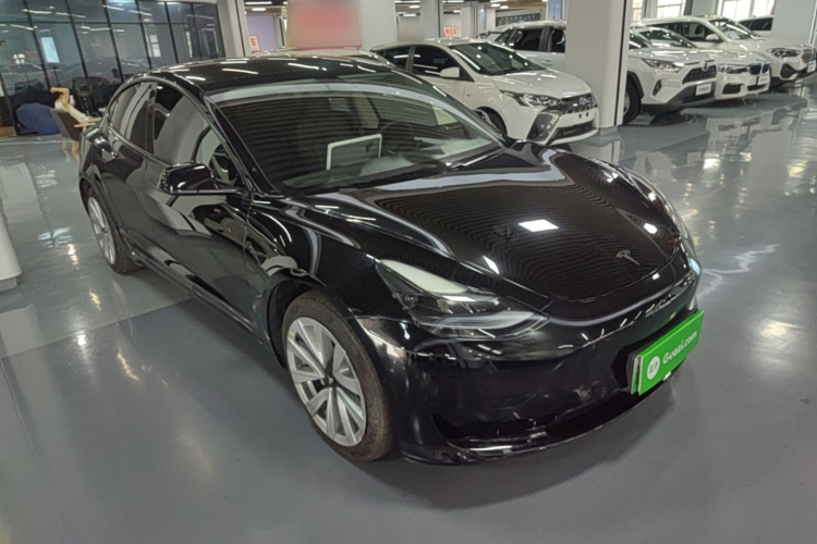 Tesla Model 3 2021 #6 Tesla Model 3 2021 car image #6