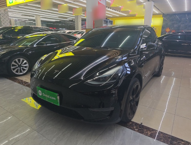 Tesla Model Y 2022 car image 