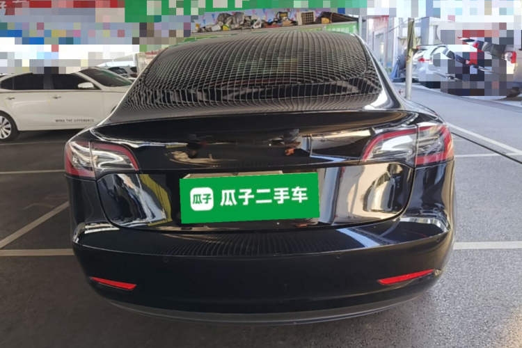 Tesla Model 3 2021 car image #6