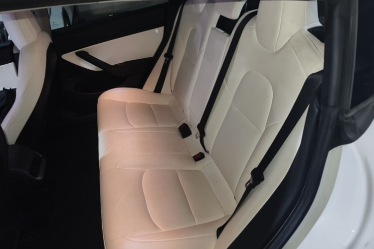 Tesla Model 3 2020 #17 Tesla Model 3 2020 car image #17
