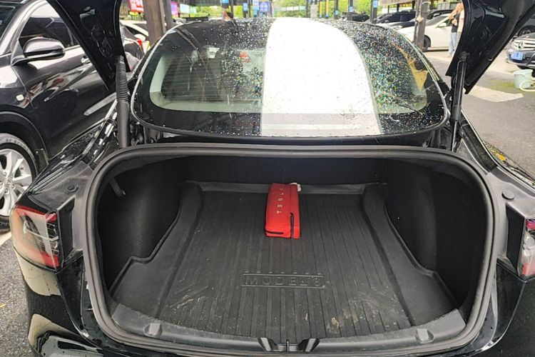Tesla Model 3 2021 car image #19