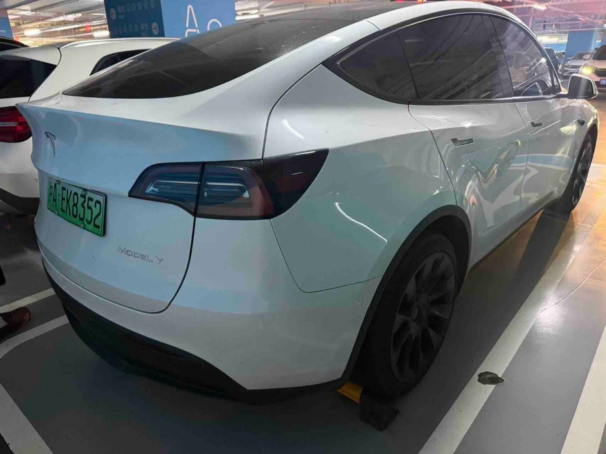 Tesla Model Y 2024 #6 Tesla Model Y 2024 car image #6