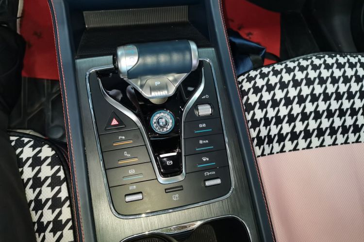 BYD Yuan Plus 2022 car image #14