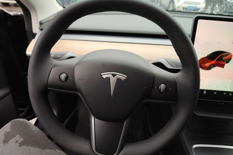 Tesla Model 3 2021 car image #15