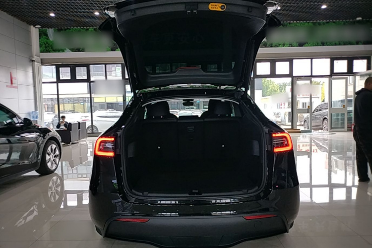 Tesla Model Y 2024 #19 Tesla Model Y 2024 car image #19