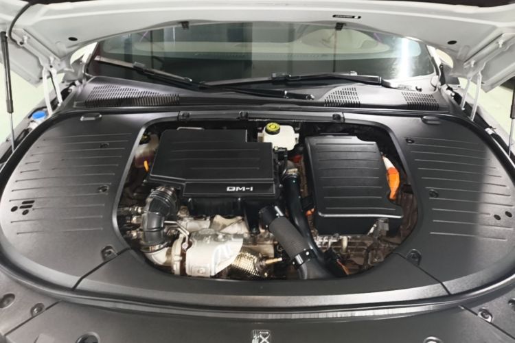 BYD Han 2024 car image #20