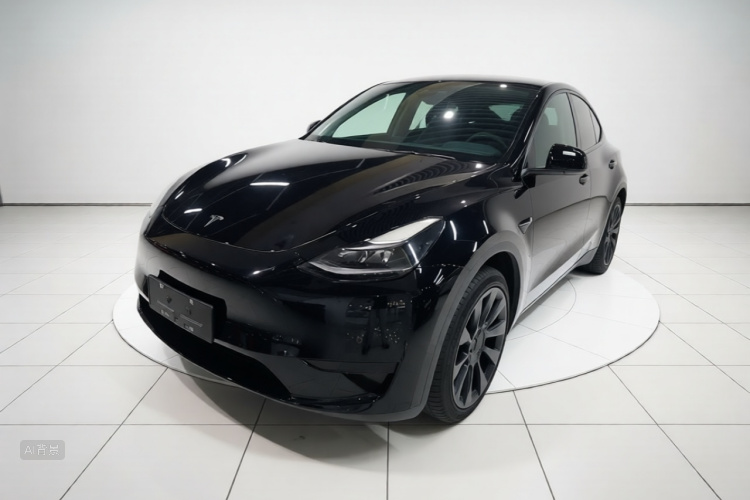 Tesla Model Y 2023 car image #2