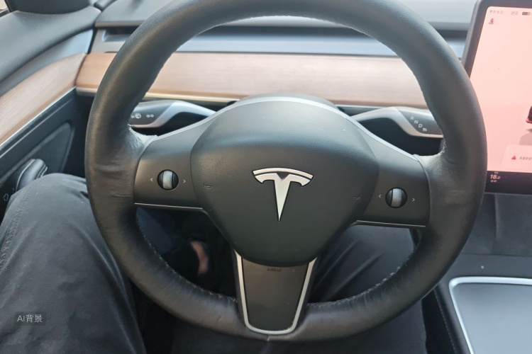 Tesla Model 3 2022 car image #12