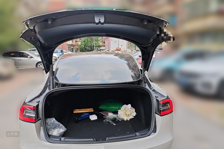 Tesla Model 3 2021 car image #21