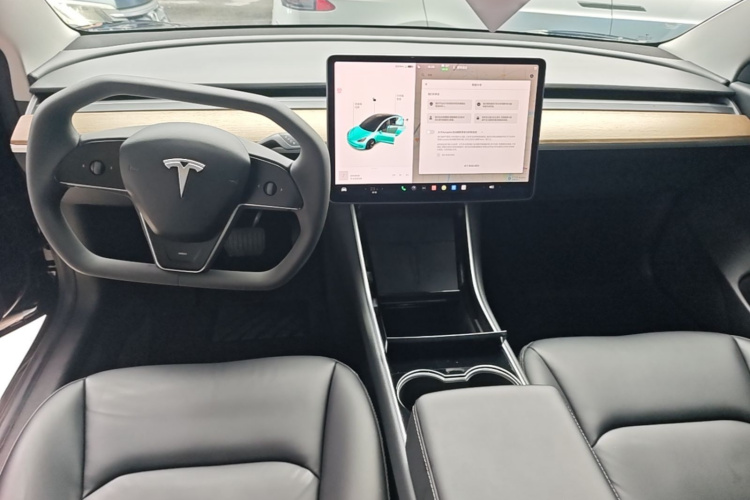 Tesla Model 3 2020 car image #18