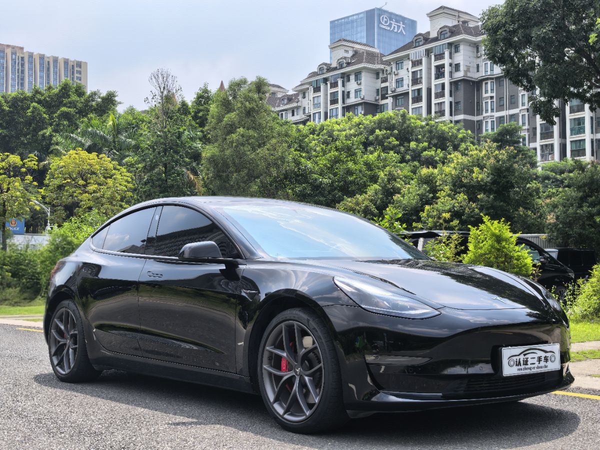 Tesla Model 3 2023 car image #3