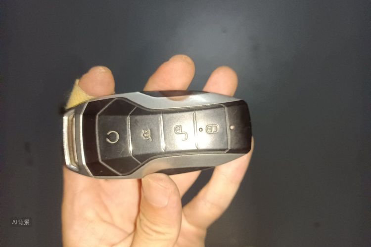 BYD Han 2021 car image #10